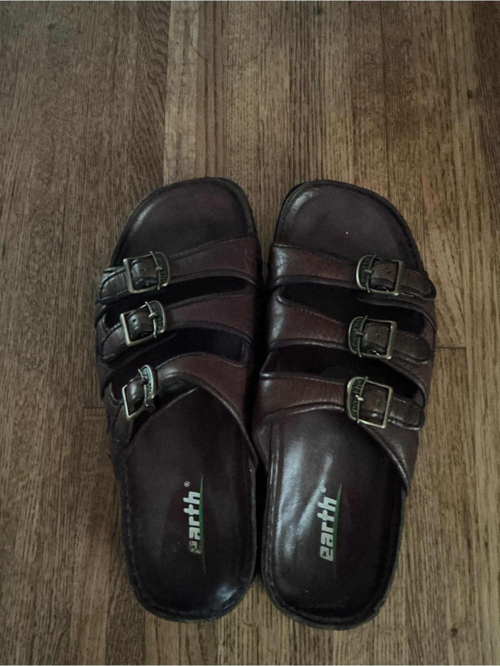 Earth Men's Dark Brown Leather Adjustable Buckle Slide Sandals
